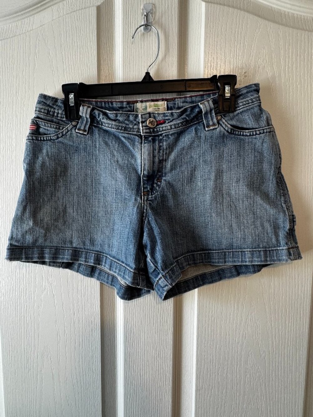20X Carpenter Jean Shorts